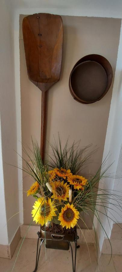 סיינה Agriturismo Il Colle מראה חיצוני תמונה
