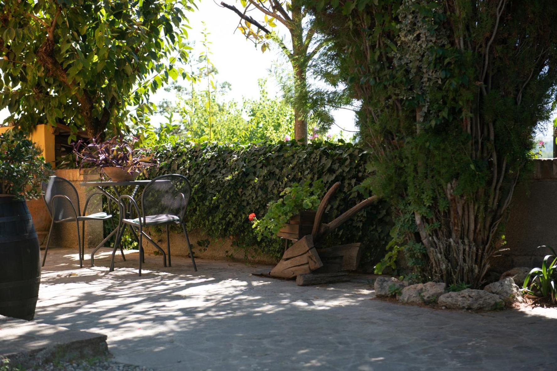 סיינה Agriturismo Il Colle מראה חיצוני תמונה