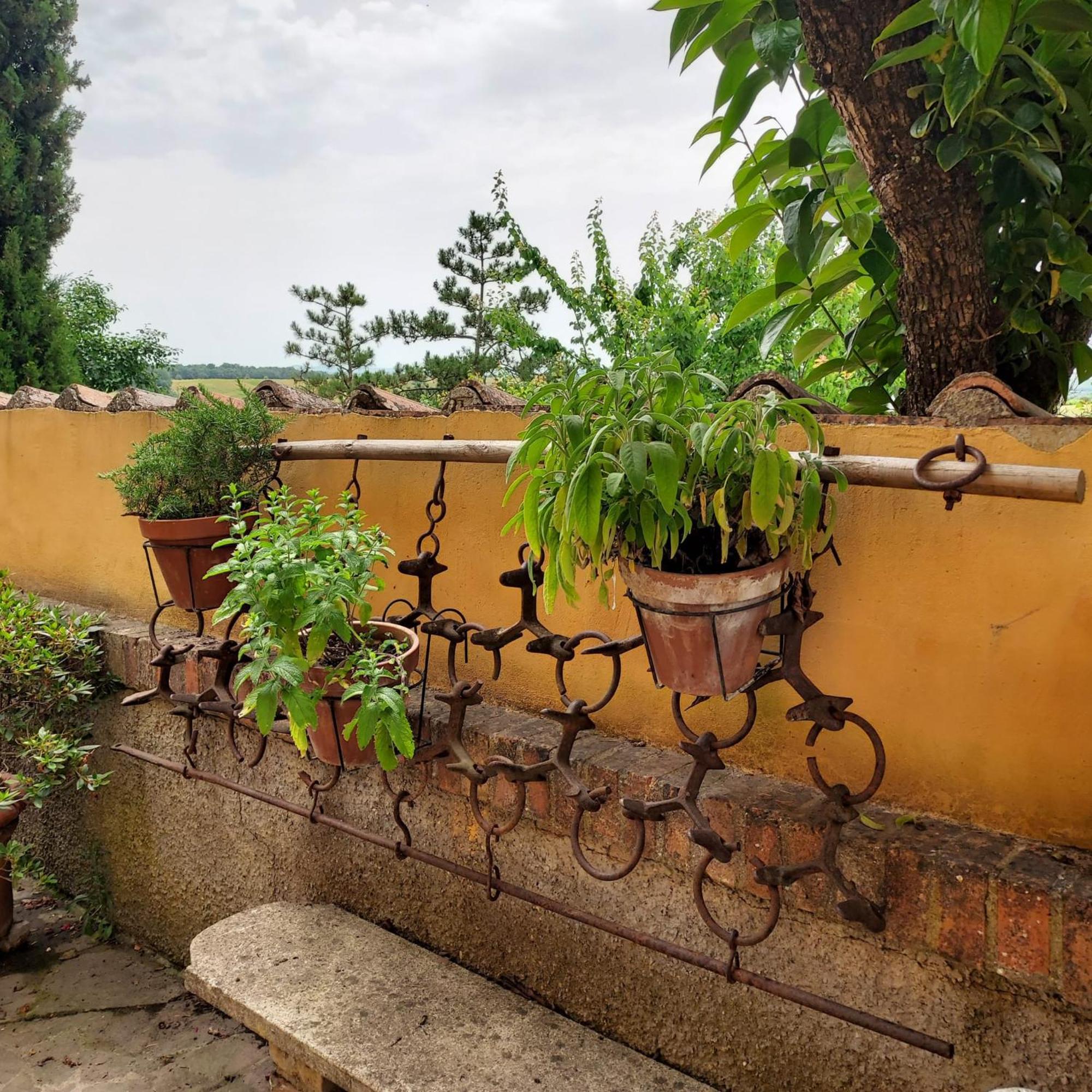 סיינה Agriturismo Il Colle מראה חיצוני תמונה