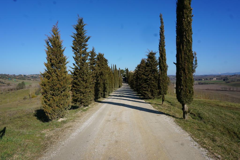 סיינה Agriturismo Il Colle מראה חיצוני תמונה